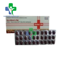 Globac-PM Zydus Cadila - Điều trị và dự phòng các loại thiếu máu do thiếu sắt